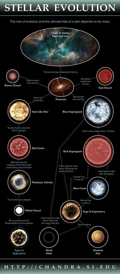 The evolution of stars in our Universe. Full size (and printable) version of this and other Astronomy Infographics. Planetary Nebula, Astronomy Facts, Astronomy Science, Space Facts, E Mc2, The Solar System, Our Solar System, Space Science, Space And Astronomy