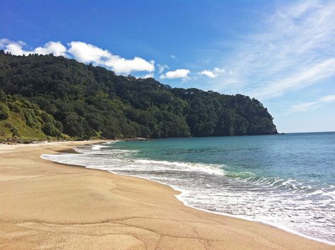 Uninhabited Island, Hot Pools, Bay Of Plenty, Air New Zealand, Coastal Modern, Mountain Bike Trails, Ancient Forest, Secluded Beach, Hidden Beach