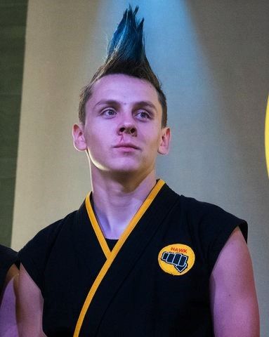 hawk Jacob Bertrand, The Karate Kid, Cobra Kai Dojo, Karate Kid Cobra Kai, Kid Cobra, The Perfect Guy, Karate Kid, Karate