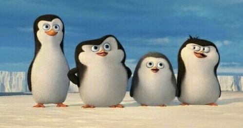 Animation Dreamworks, Penguin Names, Madagascar Movie, Opm Manga, Penguin Wallpaper, King Julien, Penguin Cartoon, Penguins Of Madagascar, John Malkovich