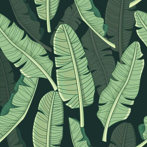 Banana Leaf Tropical Pattern Palm Background, Banana Leaf Pattern, Salon Office, Tropical Aesthetic, Grass Wallpaper, Tropical Background, Summer Illustration, Banana Leaves, Palm Fronds