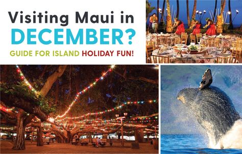 Traveling to Hawaii during the holidays? Here's a guide of fun and festive things to do if you are visiting Maui in December! Everything from seasonal whale watching to holiday luaus! Here's a few things to do on Maui in December and during winter! Maui In December, Traveling To Hawaii, Hawaii In December, Things To Do In Maui, Hawaii Holiday, Hawaii Things To Do, Maui Travel, Maui Vacation, Hawaii Honeymoon