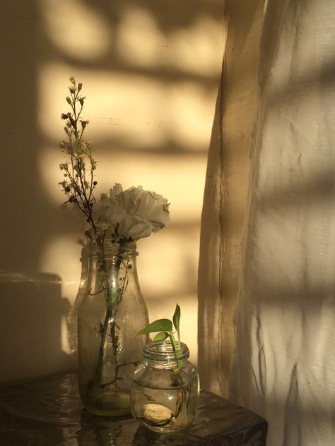 Flowers sun rays Sun Ray Aesthetic, Sun Beam Aesthetic, Sun Aethstetic, Isfp Vibes, Sun Rays Aesthetic, Olive Costume, Ella Aesthetic, Sun Aesthetics, Raw Pictures