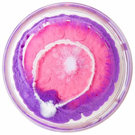 Klari Reis Petri Dish, Bacteria Art, Microbiology Art, Hair Dye Trends, Dish Painting, Microscope Art, Petri Dish Art, Fashion Text, Klari Reis