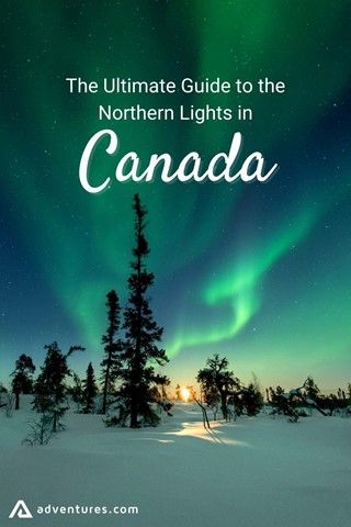 Northern Lights Canada, Animals Graphic, Northern Canada, Canadian Winter, Canada Destinations, Visit Canada, See The Northern Lights, The Northern Lights, Winter Scenery