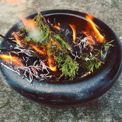 The Tradition of Scottish Saining Imbolc Traditions, Juniper Bush, Witch Apothecary, Witchy Cottage, Salt Substitute, Juniperus Communis, How To Cook Corn, Protective Charms, Dried Berries