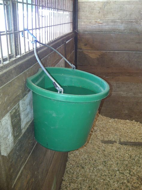 Water bucket in stall. Water buckets are cleaned and filled with water when the stalls are mucked out. Horse Water, Bucket Ideas, Horse Feed, Water Bucket, Buckets, Horses, Water, Christmas, Quick Saves