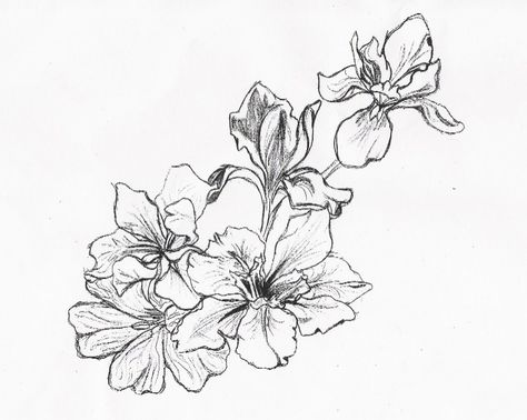 Flower tatoo design by Navina on DeviantArt Snap Dragon Vine, Snap Dragon, Vine Drawing, Easy Sketches, Drawing Bases, Bone Tattoo, Simple Flower Design, Flower Drawing Design, Easy Drawings For Kids