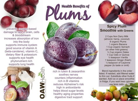 Benefits Of Plums, Plum Benefits, Purple Food, Sources Of Vitamin A, Healthy Cholesterol Levels, Yellow Foods, Better Body, Health Research, Red Food