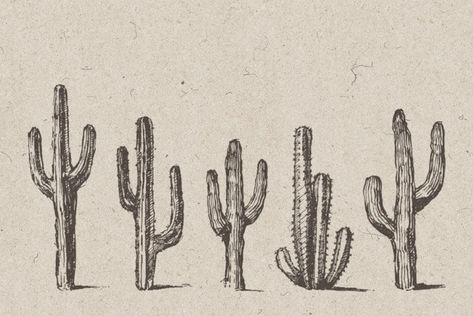 Punisher Redesign, Western Captions, Cowboy Core, Western Aesthetic Wallpaper, Cowgirl Life, Cactus Tattoo, Western Prints, Western Photo, Cactus Illustration