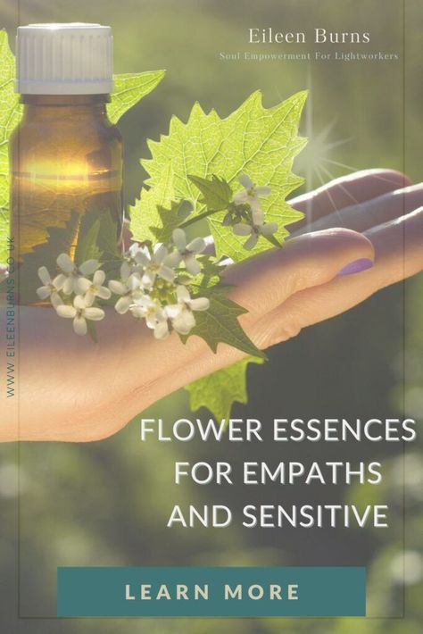 Flower Essences Diy, Kitchener Ethereal Essence, Herbal Essence Shampoo And Conditioner, Bach Flower Essences, Existence Precedes Essence, Noise Sensitivity, Willow Flower, Flower Remedies, Herbal Academy