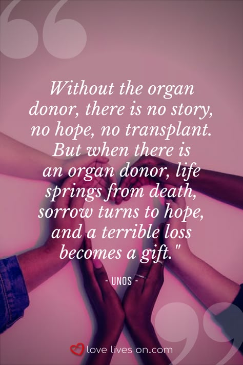 Absolutely LOVE this quote about organ donation from UNOS. Transplant Quotes, Kidney Quotes, Organ Donor Quotes, Pkd Awareness, Transplant Party, Organ Donation Quotes, Organ Donation Poster, Donation Quotes, Family Quotes Tattoos