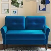 Small Couch For Bedroom, Couch For Small Spaces, Couch For Bedroom, Small Spaces Apartment, Small Couch In Bedroom, Blue Velvet Couch, Bedroom Comfy, Small Loveseat, Mini Couch