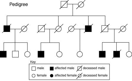 Pedigree Chart Reading Dna Extraction Lab, Mendelian Inheritance, Dna And Genes, Genetic Inheritance, States Of Matter Worksheet, Genealogy Ideas, Matter Worksheets, Pedigree Chart, X Chromosome