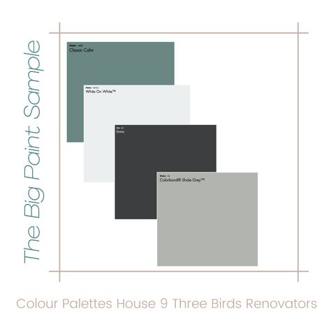 Internal and external colour palette of The Three Birds House 9. Dulux -White on White internal walls (crisp white with a touch of black) Dulux - Classic Calm internal feature wall (a beautiful bold green) Dulux - Domino used on external features (Black) Colorbond- Shale grey White And Grey Colour Palette, Black White Grey Green Color Palette, Dulux Domino Interiors, Black White Grey Colour Palette, Dulux Classic Calm, Shale Grey Exterior, Colorbond House Colour Schemes, House Colours External, Dulux Exterior House Colours Grey