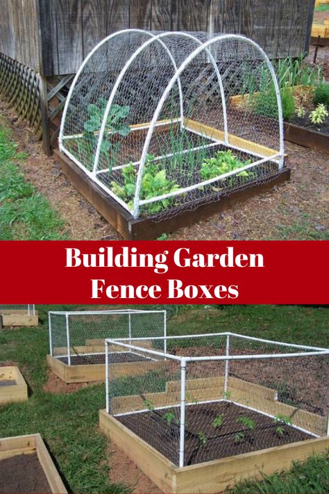 Fence For Raised Garden Beds, Raised Garden Bed Fencing, Garden Fence To Keep Rabbits Out, Garden Fencing To Keep Deer Out, Keeping Deer Out Of Garden, Dog Proof Garden Beds, How To Protect Garden From Animals, Keeping Dogs Out Of Garden, Garden Covers To Keep Animals Out