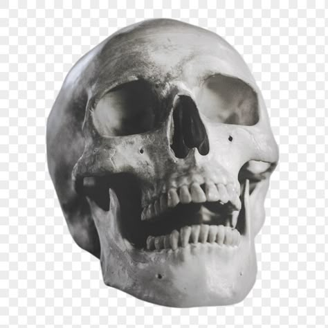 Transparent Halloween Png, Pictures With Transparent Background, Graphic Design Skull, Images With Transparent Background, Skull Png Aesthetic, Graphic Design Elements Png, Transparent Images Png, Halloween Png Images, Aesthetic Icons Png Transparent