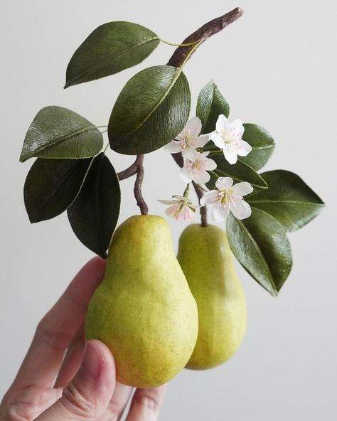 Jasmine | Paper Artist (Flowers + Edibles) (@merremade) • Instagram photos and videos Pear Tree Photography, Botanical Reference Photos, Flower Reference Photo, Plants Reference, Fruits Composition, Branch Sculpture, Fruit Branch, Pear Flower, Paper Fruit