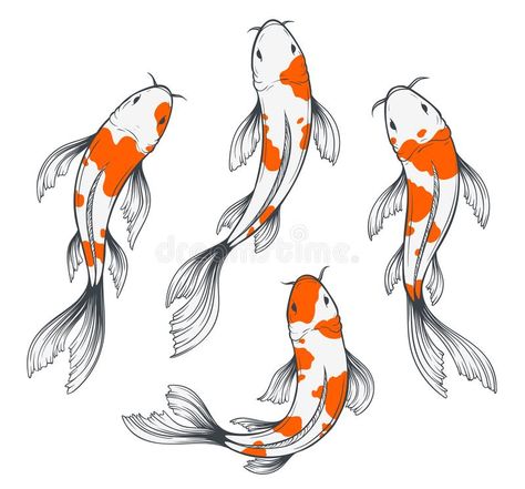 Koi Fish Top View, Fish Top View, Karp Koi, Tato Ikan Koi, Koi Fishes, Fish Sketch, Koi Painting, Koi Fish Drawing, Fish Drawing