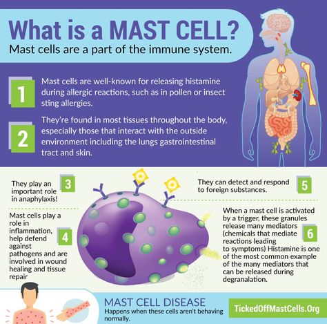 “What is Mast Cell Activation Syndrome?” (article, infographics, resources) #TickedOffMastCells Mast Cell Activation, Adrenal Fatigue Symptoms, Dysautonomia Pots, Autoimmune Disorders, Histamine Intolerance, Immune Cells, Chest Discomfort, Mast Cell Activation Syndrome, Low Histamine Diet