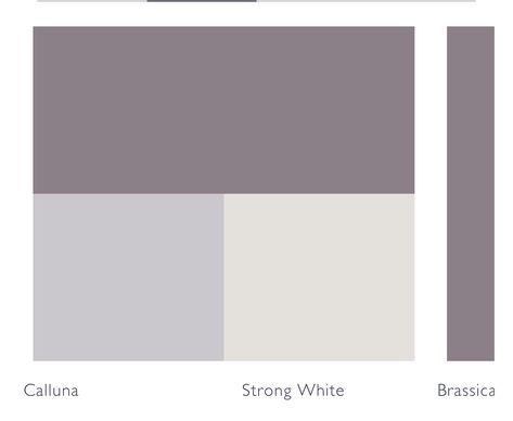 Farrow Ball Calluna, Farrow And Ball Calluna, Farrow And Ball Brassica, Farrow And Ball Purple, Calluna Farrow And Ball, Brassica Farrow And Ball, Farrow And Ball Hallway, Study Makeover, Purple Wall Paint