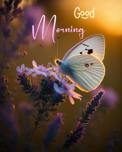 Beautiful Morning Pictures, Lovely Good Morning Images, Cute Good Morning Images, Good Morning Nature, Good Morning Flowers Quotes, Good Morning Images Hd, Good Morning Beautiful Flowers, Good Morning Flowers Pictures, Good Morning Beautiful Pictures