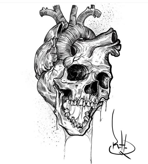 Cardiology Art, Anatomical Heart Drawing, Anatomical Heart Art, Skeleton Artwork, Skull Sketch, Rune Tattoo, Black And White Illustrations, Zen Doodle Art, Spooky Tattoos