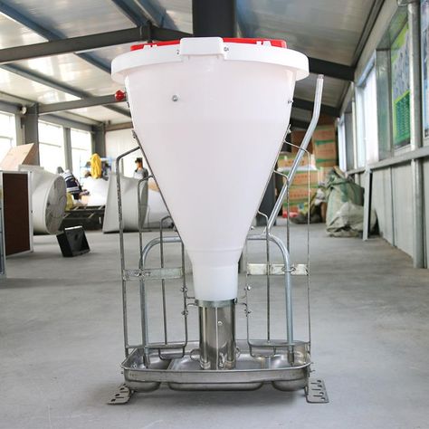 high Quality automatic pig feeder pig feeder for sale philippines feeder pig https://m.alibaba.com/product/62306369472/high-Quality-automatic-pig-feeder-pig.html?__sceneInfo={"cacheTime":"1800000","type":"appDetailShare"} Automatic Pig Feeder, Pig Feeder, Pig Waterer, Farm Design, Pigs, Philippines, Trash Can, Canning, For Sale