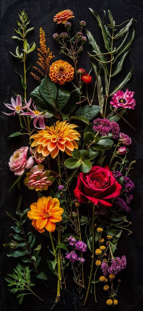 Iphone Wallpaper Mexican Art, Realistic Phone Wallpaper, Flower Iphone Wallpaper Vintage, Mexico Screensaver, Magical Iphone Wallpaper, Indie Background Wallpapers, Iphone Background Plants, Wild Flowers Aesthetic Wallpaper, Flowers With A Black Background