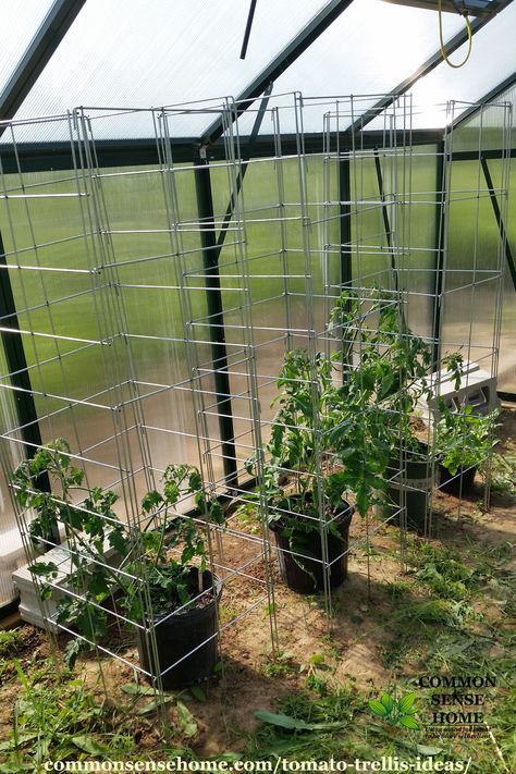 Check out these easy DIY tomato trellis ideas that include tomato stakes, cattle panels, pallet trellises and other wooden trellises, string trellis and more, plus LARGE plant cages big enough for tall tomatoes. #gardentips Tomato Trellis Ideas, Diy Tomato Trellis, String Trellis, Pallet Trellis, Small Flower Garden, Tomato Stakes, Tomato Support, Cheap Greenhouse, Plant Cages