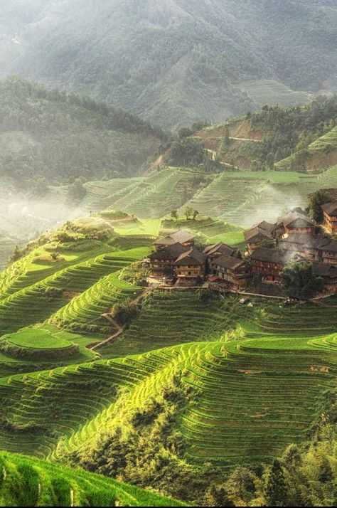 China Landscape, Cook Breakfast, Jungle Forest, Valley Village, Green Things, Rice Fields, Big Sis, Beautiful Villages, China Travel