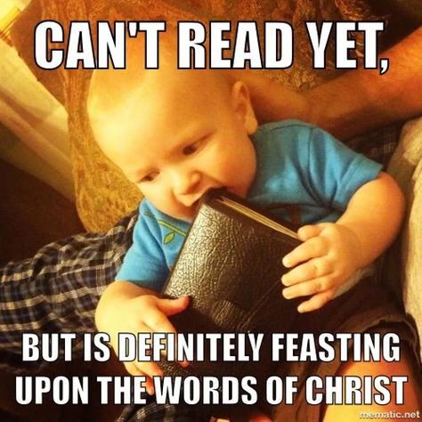 Funny Church Memes, Mormon Jokes, Church Jokes, Mormon Humor, Mormon Memes, Lds Memes, Church Memes, Church Humor, Christian Jokes