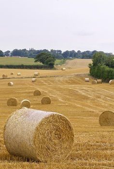 Iphone Wallpaper Photography, Straw Bales, Farm Lifestyle, Farm Photography, Fields Of Gold, Shadow Photography, Hay Bales, Field Of Dreams, Farm Barn