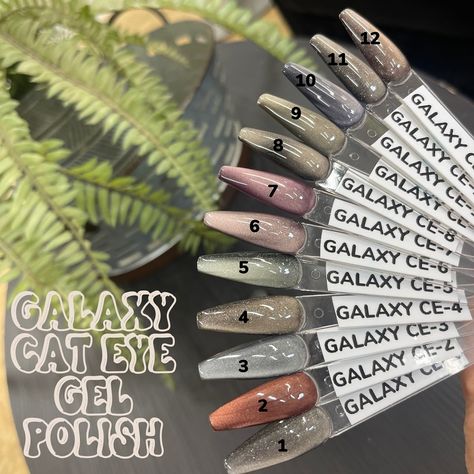 Galaxy Cat Eye 👁️ Gels!! Now available in individual colors vs the collection!! Some of these have a micro ✨ sparkle to them!! They even have a built in base color so no need to apply over another color! Endless possibilities!! Order 👉 https://www.cordozanailsupply.com/products/egn-galaxy-cateye-individuals #cateyenails #magnetnails #magneticnails #gelpolish #gelnails #gelmanicure #earthtonenails #sparklynails #newnails #nails #nailart #nailsofinstagram #nailaddict #nailsonfleek #nailpro #... Nail Art Box, Galaxy Cat, Glitter Pigment, Magnetic Nails, Nail Art Disney, Holiday Nail Art, Cat Eye Gel, Multi Dimensional, Glass Nails