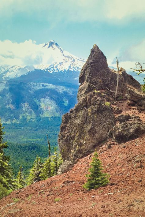 This Easy Hike Offers Oregon’s Best Mt Hood Views | Portland Monthly Mt Hood Hikes, Honeymoon Goals, Oregon Nature, Beginner Hiker, Trillium Lake, Mt Hood Oregon, Timberline Lodge, Oregon Hikes, Oregon Living