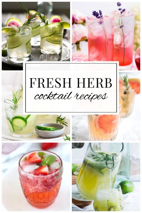 Drinks With Herbs, Herb Drinks, Basil Cocktails, Fresh Juice Cocktails, Refreshing Cocktail Recipes, Drinks With Basil, Mint Cocktail Recipes, Refreshing Cocktail, Herby Cocktails