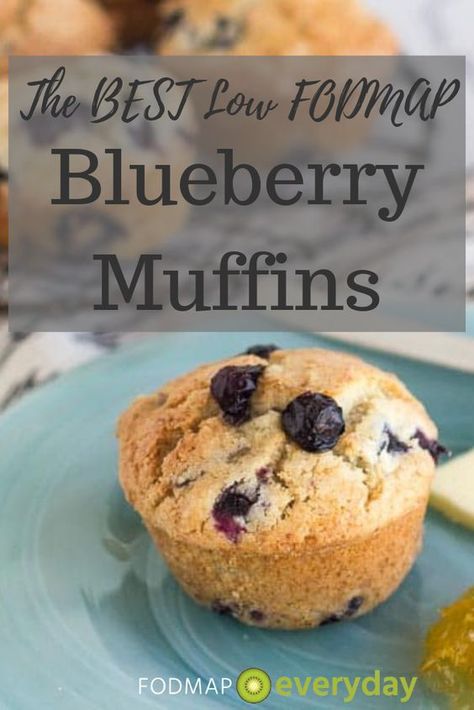 The BEST Low FODMAP Blueberry Muffins Fodmap Muffins, Fodmap Breakfast, Low Fodmap Snacks, Fodmap Snacks, Low Fodmap Diet Recipes, Best Blueberry Muffins, Fodmap Diet Recipes, Ibs Recipes, Healthy Eating Guidelines