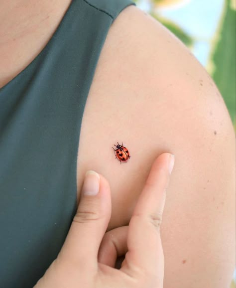 Ladybug Tattoos, Ladybug Tattoo, Seashell Tattoos, Lady Bug Tattoo, Clover Tattoos, Bug Tattoo, Mommy Tattoos, Tattoo Meanings, Floral Tattoo Sleeve