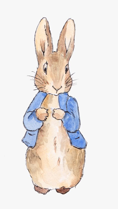 Peter Rabbit Illustration, Rabbit Wedding, Beatrix Potter Illustrations, Flopsy Bunny, Beatrice Potter, Peter Rabbit Nursery, Rabbit Png, Peter Rabbit Birthday, Peter Rabbit Party