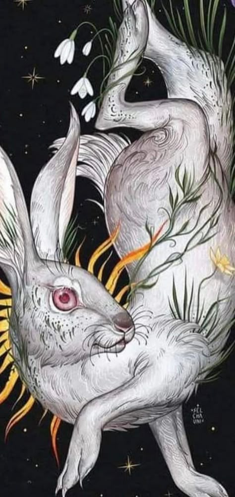 Mystical Animals Art, Wheel Of The Year Art, Blessed Ostara, Hare Illustration, Dnd Ocs, Hare Painting, Hare Art, Rabbit Drawing, Light Tattoo