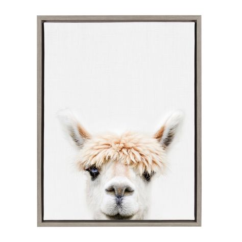 Kate and Laurel Sylvie Alpaca Bangs Animal Print Framed Canvas Art by Amy Peterson, Beige Nursery Artwork, Print Portrait, Portrait Frame, Arte Animal, Colorful Wall Art, Framed Canvas Wall Art, Animal Wall Art, Digital Art Prints, Framed Canvas Art