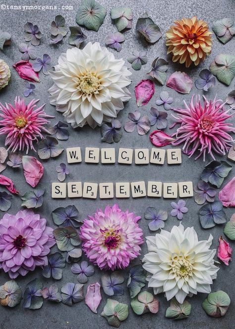 Hello September Images, September Images, September Quotes, September Wallpaper, Welcome September, Craft Market Display, Seasons Months, Body Shop At Home, Happy September