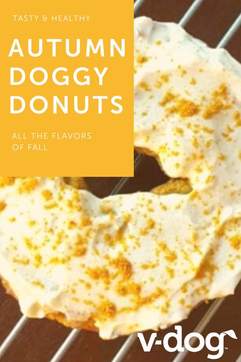 Dog Donuts Recipe Pumpkin, Doggie Donuts Recipe, Fall Donuts, Nutrition 101, Pumpkin Treats, Pumpkin Pie Mix, Vegan Dog, Donuts Recipe, Pumpkin Treat