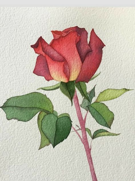 Aquarelle Drawing, Aquarelle Painting, Drawing Flowers, Illustration Watercolor, Flowers Watercolor, Artist Artwork, Painting Illustration, Drawing Art, Artwork Painting