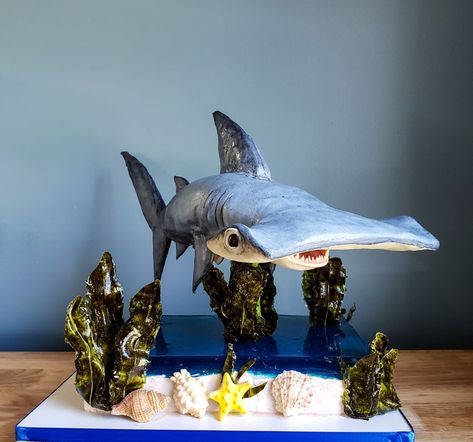 3D Edible Shark Cake The hammerhead body is cake the tail and fins are modeling chocolate. The base is a 1/4 sheet cake topped with jello... Realistic Shark Cake, Hammerhead Cake, Hammerhead Shark Cake, Shark Birthday Cakes, Cake 3d, Nautical Cake, Cake Frame, Realistic Cakes, Unique Cupcakes