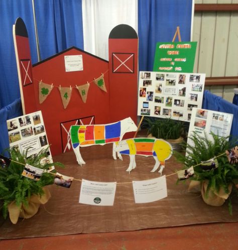 Capture livestock club fair booth NFF Fair Display Booth, Fair Display Ideas, 4h Fair, Ag Day, 4 H Club, Fair Booth, Fair Display, Showing Livestock, Fall Fest