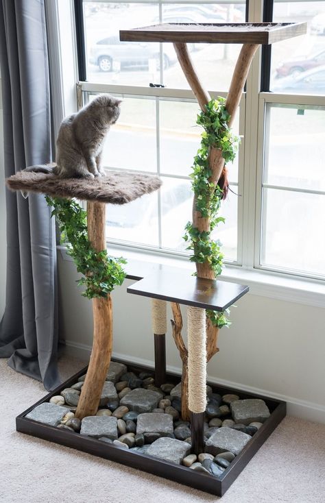 DIY cat tree made out of real branches #diy #furniture #buildplants #cattree #diycattree Diy Jouet Pour Chat, Cat Trees Homemade, Katt Diy, Cat Tree Plans, Cat Tree Designs, Katt Grejer, Kat Diy, Chat Diy, Branches Diy