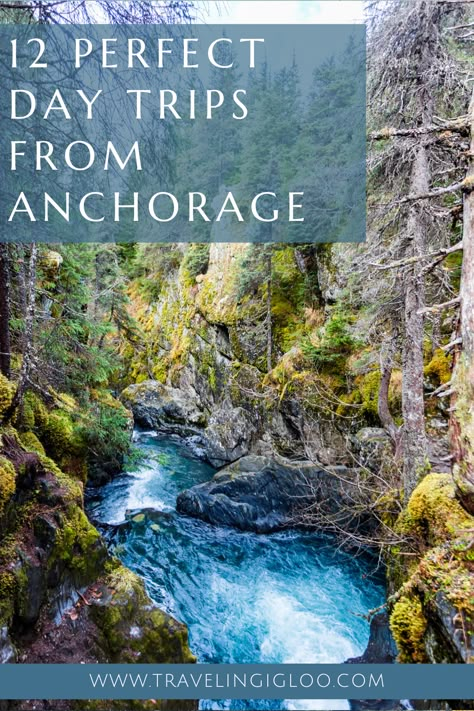 What To Do In Anchorage Alaska, Anchorage Alaska Things To Do In, Anchorage Alaska Summer, Alaska Living, Traveling Usa, Alaska Summer, Alaska Road Trip, Alaska National Parks, North To Alaska