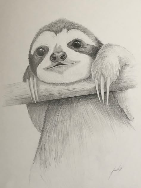 Sloth hanging on a branch wayching the world. Hand drawn pencil sketch. Sloth Drawings Easy, Sloth Drawing Sketch, Easy Sloth Drawing, How To Draw A Sloth, Cute Sloth Drawing, Sloth Sketch, Math Paper, Super Easy Drawings, Cute Halloween Drawings