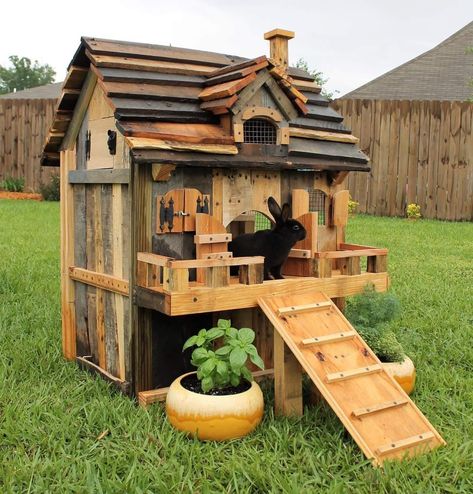 Bunny Hutch Diy Outdoor, Rabbit Hutch Ideas, Rabbit Hutch Outdoor, Bunny Sheds, Pet Playground, Cat Apartment, Rabbit Ideas, Bunny Hutch, Garden Boxes Diy